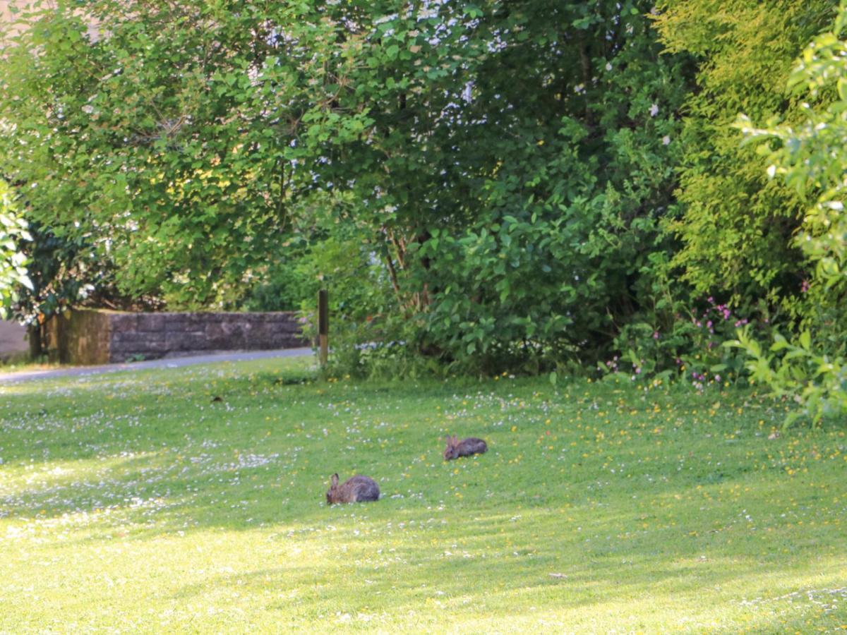 Holiday home Owls Roost Falmouth